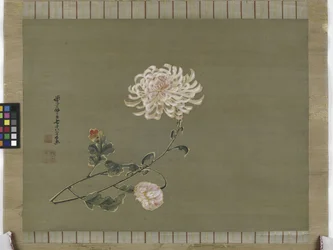 Krysanteemi, Edo-kausi, 1791 (muste ja väri silkillä)